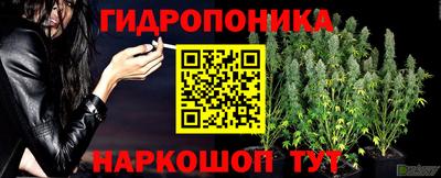 трава Бузулук