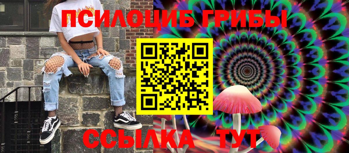 Галлюциногенные грибы Cubensis Вичуга
